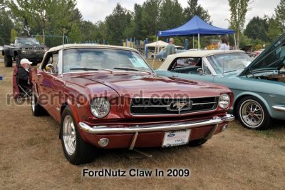 DSC_5977-web.jpg