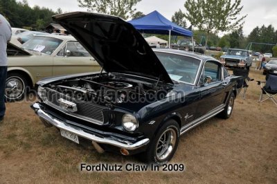 DSC_5985-web.jpg