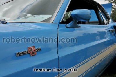 DSC_6002-web.jpg
