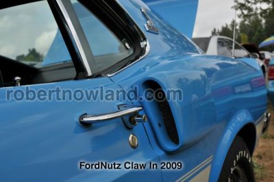 DSC_6004-web.jpg