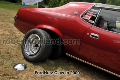 DSC_6013-web.jpg