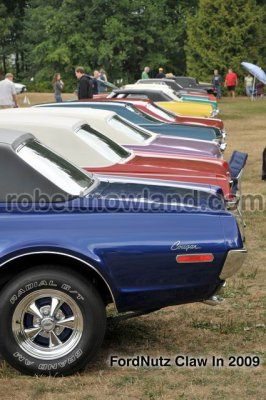 DSC_6053-web.jpg