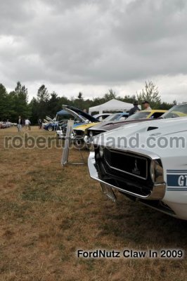 DSC_6059-web.jpg