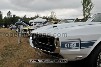 DSC_6060-web.jpg