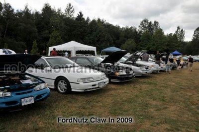 DSC_6063-web.jpg