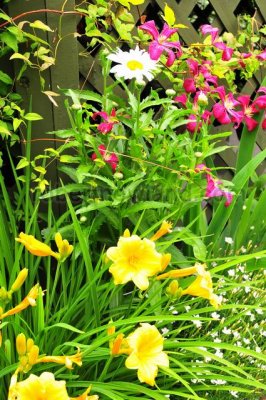DSC_7156-Pb.jpg