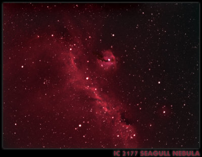 THE SEAGULL NEBULA