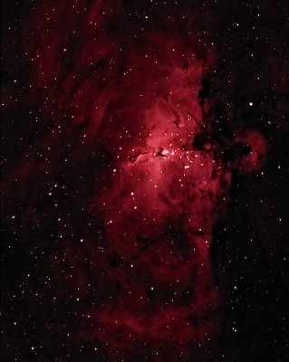 THE EAGLE NEBULA