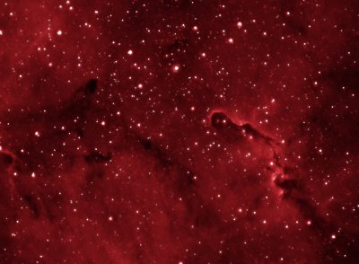 IC 1396 - ELEPHANT'S TRUNK NEBULA