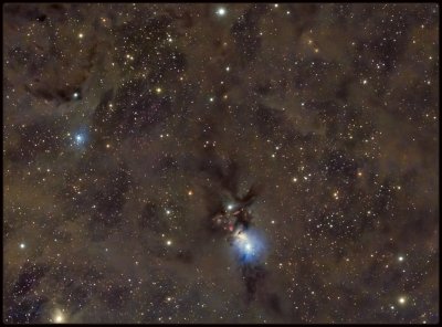 NGC1333