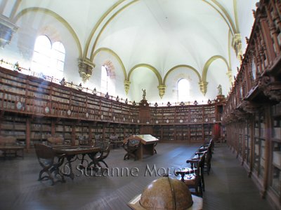 University of Salamanca Library.jpg