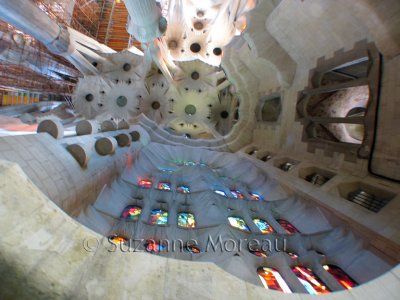 Gaudi's Sagrada Familia ceiling.jpg