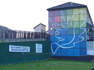 g1/85/897485/3/116878453.h7R1vEso.jpg