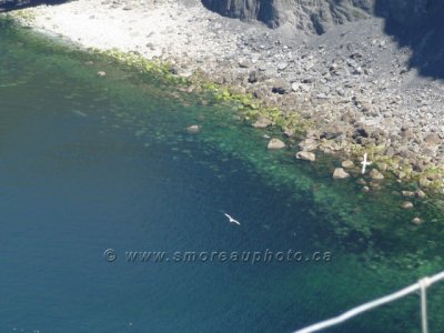 0130Cliffs of Moher.jpg