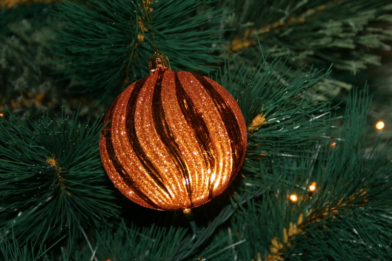 IMG_6975.JPG
