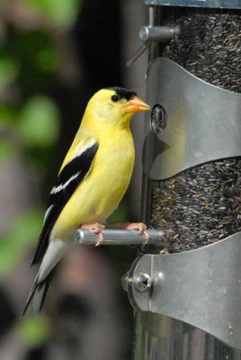 g1/85/921685/3/114434230.nUWY6MYr.jpg