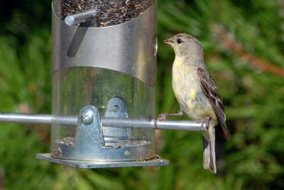 g1/85/921685/3/115197405.klHvLJdN.jpg