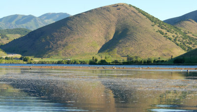 Mantua - Island of Grebes