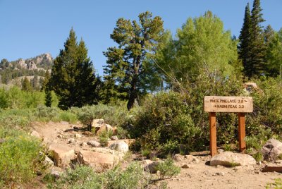 Trail to White Pine Lake