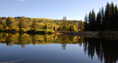 g1/85/921685/3/128888560.4h4mUhMx.jpg