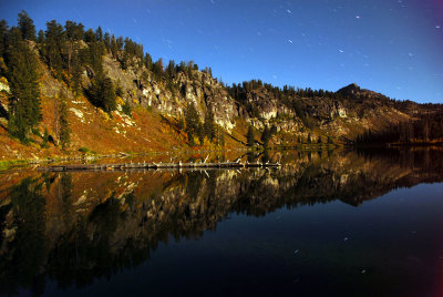 Moon Lit Tony Grove
