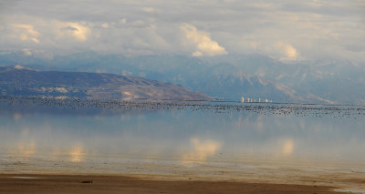 From Causeway towards SLC