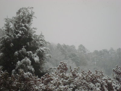DSC02276.JPG