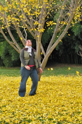 Gingko4939w.jpg