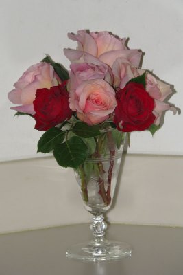 Roses0249w.jpg
