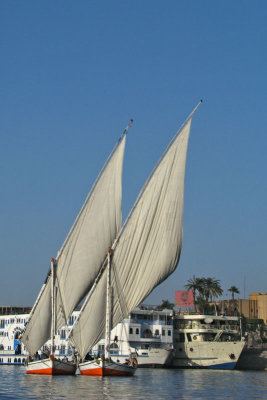 FelluccaTwins1126w.jpg