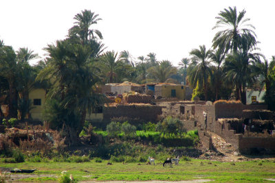 NileBank0882w.jpg