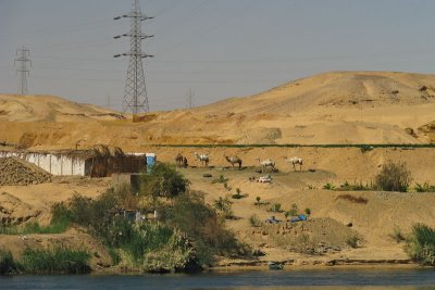 NileBank1047w.jpg