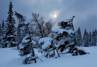 Winter at Norefjell