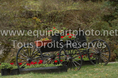 jeux_equestre_du_quebec__kurs__22_septembre_2012