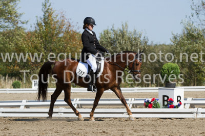 Niveau 1 adulte - 21 septembre 2012 - ring 2