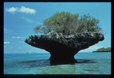 Aldabra Lagoon