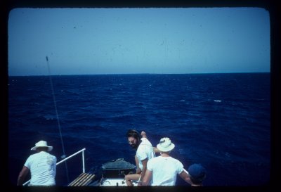 1976 Spotting Shaab Mahmoud and the Dunraven Shipwreck for the first time