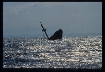 Wreck at Abu Nuhaus 1979