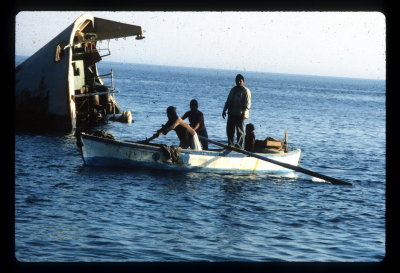 The Yolanda Sinks Ras Mohamed 1979