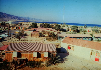 Neweiba 1972-3