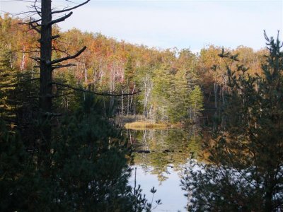 DSCF0586 (Medium).JPG