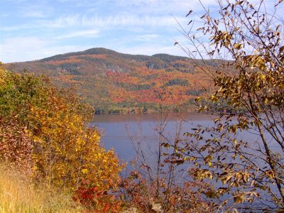 DSCF0673 (Medium).JPG