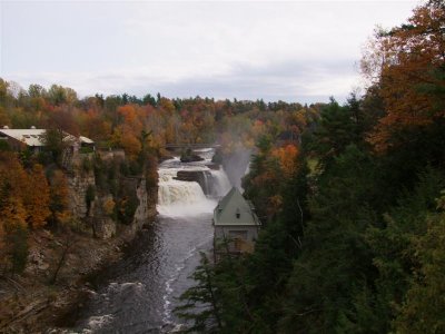 DSCF0737 (Medium).JPG