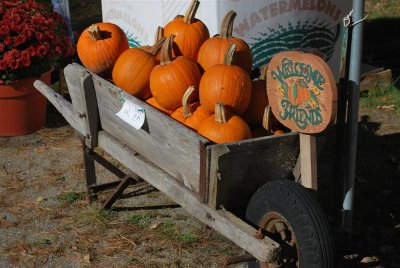 DSC_0208 (Medium).JPG