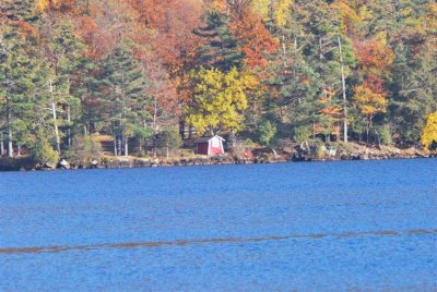 DSC_0254 (Medium).JPG