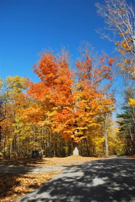 DSC_0278 (Medium).JPG