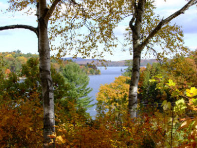 DSCF1913.JPG