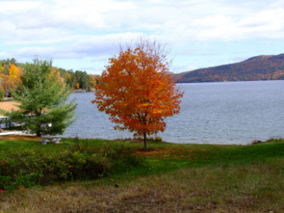 DSCF1915.JPG