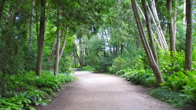 Beautiful scenery abounds on Mackinaw Island