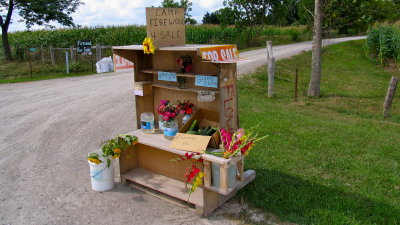The honour system in alive in rural, southern Ontario speaks well for the kind and friendly people who live there.